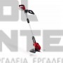 EINHELL GE-CT 18 Li EXPERT ΘΑΜΝΟΚΟΠΤΙΚΟ ΤΗΛΕΣΚΟΠΙΚΟ 18V ΣΚΕΤΟ ΣΩΜΑ (#3411172)