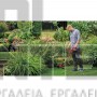 EINHELL GE-CT 18/30 Li EXPERT ΘΑΜΝΟΚΟΠΤΙΚΟ 18V ΣΚΕΤΟ ΣΩΜΑ (#3411250)