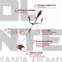 EINHELL AGILLO 18/200 EXPERT ΘΑΜΝΟΚΟΠΤΙΚΟ 18V ΣΚΕΤΟ ΣΩΜΑ (#3411310)