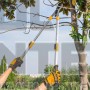 INGCO HLTS7608 ΨΑΛΙΔΙ ΚΛΑΔΟΥ 30" ΜΕ ΤΗΛΕΣΚΟΠΙΚΕΣ ΛΑΒΕΣ 640-850mm (#HLTS7608)