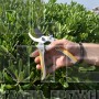 INGCO HPS0308 ΨΑΛΙΔΙ ΚΛΑΔΕΜΑΤΟΣ 8"/205mm (#HPS0308)