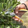 INGCO HPS0308 ΨΑΛΙΔΙ ΚΛΑΔΕΜΑΤΟΣ 8"/205mm (#HPS0308)