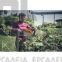 STIHL HSA 140 R ΨΑΛΙΔΙ ΜΠΟΡΝΤΟΥΡΑΣ ΧΩΡΙΣ ΜΠΑΤΑΡΙΑ & ΦΟΡΤΙΣΤΗ ΜΕ ΜΗΚΟΣ ΚΟΠΗΣ 75cm (#HA020113506)