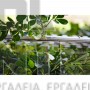 STIHL HSA 40 ΨΑΛΙΔΙ ΜΠΟΡΝΤΟΥΡΑΣ 50cm ΜΕ 2 ΜΠΑΤΑΡΙΕΣ AS 2 & ΦΟΡΤΙΣΤΗ AL 1 (#HA080113527)