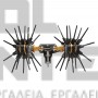 ANGELIS ASTERAS MAX 6x6 ΕΛΑΙΟΡΑΒΔΙΣΤΙΚΟ ΑΧΙΝΟΣ CARBON 2.50m 15-19V (#0935.6X6)