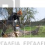 STIHL MS 211 ΑΛΥΣΟΠΡΙΟΝΟ ΒΕΝΖΙΝΗΣ ME PICCO DURO & ΛΑΜΑ 35cm 35.2 cm³ (#11392000295)