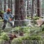 STIHL MS 462 C-M ΕΠΑΓΓΕΛΜΑΤΙΚΟ ΑΛΥΣΟΠΡΙΟΝΟ ΒΕΝΖΙΝΗΣ 72.2cm³ ΜΕ ΛΑΜΑ 50cm HEXA (#11422000291)