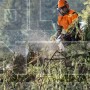 STIHL MS 462 C-M ΕΠΑΓΓΕΛΜΑΤΙΚΟ ΑΛΥΣΟΠΡΙΟΝΟ ΒΕΝΖΙΝΗΣ 72.2cm³ ΜΕ ΛΑΜΑ 50cm HEXA (#11422000291)