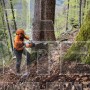 STIHL MS 462 C-M ΕΠΑΓΓΕΛΜΑΤΙΚΟ ΑΛΥΣΟΠΡΙΟΝΟ ΒΕΝΖΙΝΗΣ 72.2cm³ ΜΕ ΛΑΜΑ 50cm HEXA (#11422000291)