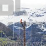 STIHL MS 462 C-M ΕΠΑΓΓΕΛΜΑΤΙΚΟ ΑΛΥΣΟΠΡΙΟΝΟ ΒΕΝΖΙΝΗΣ 72.2cm³ ΜΕ ΛΑΜΑ 50cm HEXA (#11422000291)