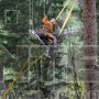 STIHL MS 462 C-M ΕΠΑΓΓΕΛΜΑΤΙΚΟ ΑΛΥΣΟΠΡΙΟΝΟ ΒΕΝΖΙΝΗΣ 72.2cm³ ΜΕ ΛΑΜΑ 50cm HEXA (#11422000291)