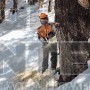 STIHL MS 462 C-M ΕΠΑΓΓΕΛΜΑΤΙΚΟ ΑΛΥΣΟΠΡΙΟΝΟ ΒΕΝΖΙΝΗΣ 72.2cm³ ΜΕ ΛΑΜΑ 50cm HEXA (#11422000291)