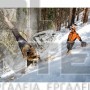 STIHL MS 462 C-M ΕΠΑΓΓΕΛΜΑΤΙΚΟ ΑΛΥΣΟΠΡΙΟΝΟ ΒΕΝΖΙΝΗΣ 72.2cm³ ΜΕ ΛΑΜΑ 50cm HEXA (#11422000291)