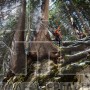 STIHL MS 462 C-M ΕΠΑΓΓΕΛΜΑΤΙΚΟ ΑΛΥΣΟΠΡΙΟΝΟ ΒΕΝΖΙΝΗΣ 72.2cm³ ΜΕ ΛΑΜΑ 50cm HEXA (#11422000291)