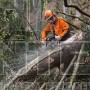STIHL MS 462 C-M ΕΠΑΓΓΕΛΜΑΤΙΚΟ ΑΛΥΣΟΠΡΙΟΝΟ ΒΕΝΖΙΝΗΣ 72.2cm³ ΜΕ ΛΑΜΑ 50cm HEXA (#11422000291)