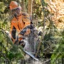 STIHL MS 462 C-M ΕΠΑΓΓΕΛΜΑΤΙΚΟ ΑΛΥΣΟΠΡΙΟΝΟ ΒΕΝΖΙΝΗΣ 72.2cm³ ΜΕ ΛΑΜΑ 50cm HEXA (#11422000291)