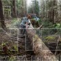 STIHL MS 462 C-M ΕΠΑΓΓΕΛΜΑΤΙΚΟ ΑΛΥΣΟΠΡΙΟΝΟ ΒΕΝΖΙΝΗΣ 72.2cm³ ΜΕ ΛΑΜΑ 50cm HEXA (#11422000291)