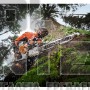 STIHL MS 500 i RS ΑΛΥΣΟΠΡΙΟΝΟ ΒΕΝΖΙΝΗΣ ΜΕ ΛΑΜΑ 63cm (#11472000001)