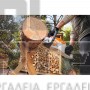 STIHL MSA 80 C-B ΕΠΑΝΑΦΟΡΤΙΖΟΜΕΝΟ ΑΛΥΣΟΠΡΙΟΝΟ - AK SYSTEM ΣΕΤ ΜΕ ΑΚ 30 S ΜΠΑΤΑΡΙΑ & AL 101 ΦΟΡΤΙΣΤΗ 35cm  (#MSA80C-B-SET) 