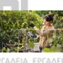 STIHL ASA 20 ΨΑΛΙΔΙ ΚΛΑΔΕΜΑΤΟΣ ΜΕ ΜΠΑΤΑΡΙΑ AS 2 & ΦΟΡΤΙΣΤΗ AL 1  (#VA050116210)